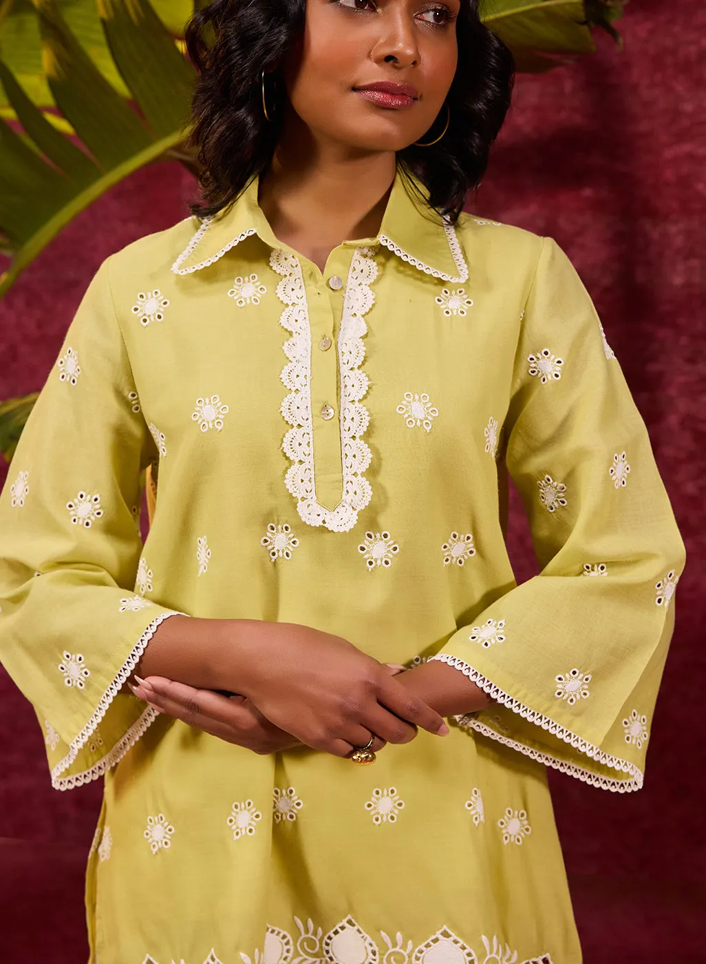 Kashni Apple Green Embroidered Schiffli Top for
Women